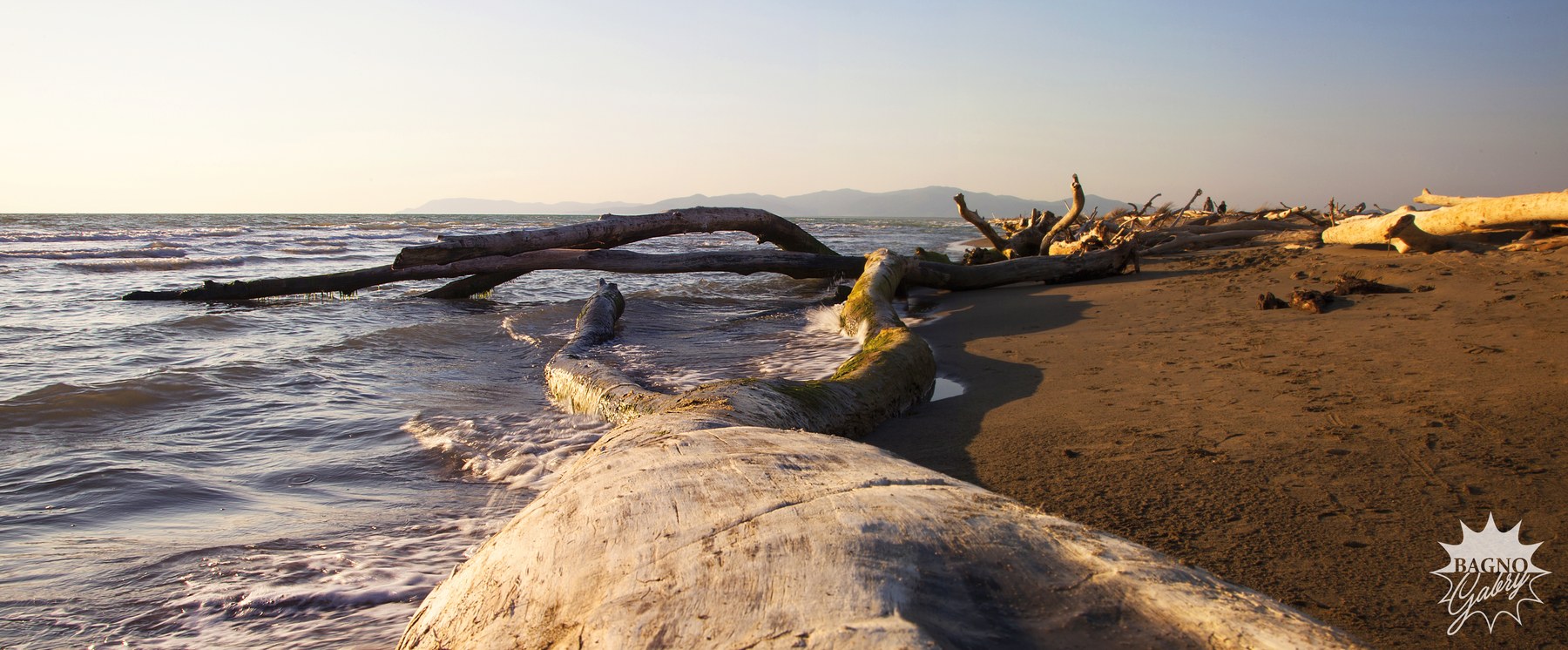 Mare e tronchi sulla spiaggia